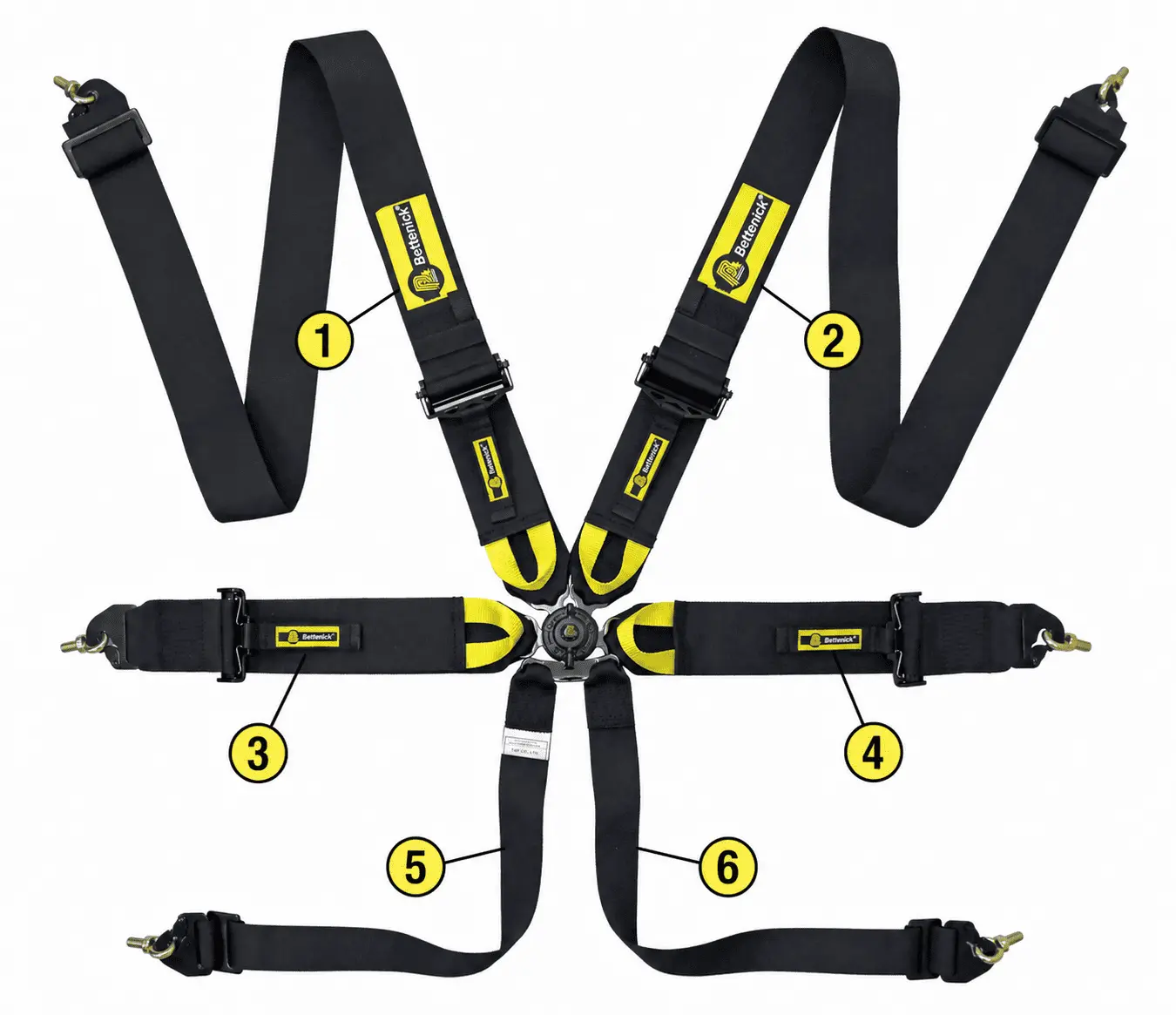 6 Point Racing Harness